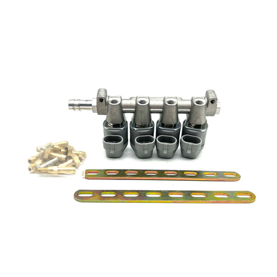 Sistema di iniezione di carburante di GPL CNG 2 ohm o 3 ohm Grey Injector Rail per Autogas
