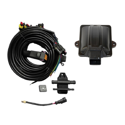 3, 4 cilindri tipo CNG LPG ECU con alloggiamento in plastica ABS