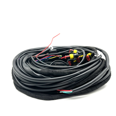 56 cablaggio multipunto del collegamento di iniezione di carburante del cablaggio CNG GPL del cavo di Pin ECU