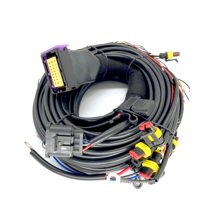 Cilindro sequenziale ECU di Pin Car Wiring Harness For 4 dell'iniezione 24 di CNG GPL