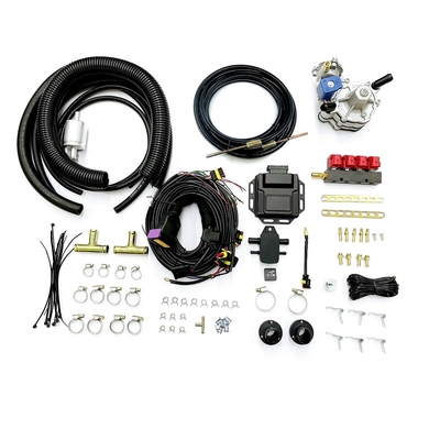 Benzina a quattro cilindri dell'automobile alla conversione Kit For Sequential Injection System di GPL
