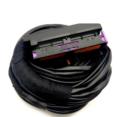 comprare LLANO DC12V 2 Ohm 4 cilindri per iniettore di GPL a GNC per veicoli a gas naturale online manufacture