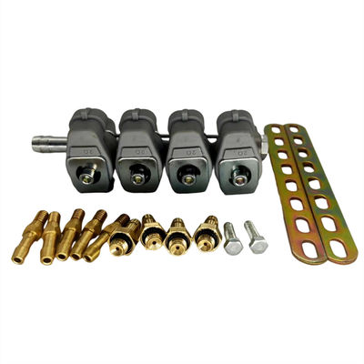 comprare Kit iniettori CNG a iniezione sequenziale con resistenza da 2 Ohm e materiale in alluminio per conversione GPL online manufacture
