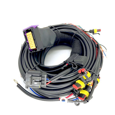 comprare Cilindro sequenziale ECU di Pin Car Wiring Harness For 4 dell'iniezione 24 di CNG GPL online manufacture