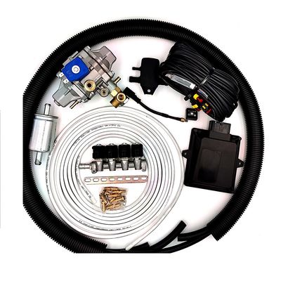 qualità  Car Petrol To CNG LPG Conversion Kits Sequential 4 Cyl Fuel Injection Kit fabbrica
