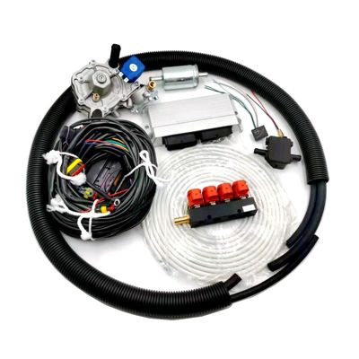 comprare Corredi sequenziali ISO9001 di Kit Electronic Fuel Injection Conversion dell'iniezione dell'ECU GPL online manufacture