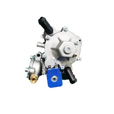 comprare regolatore di pressione automatico del gas GPL della membrana del doppio 180W con potere extra online manufacture