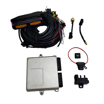 Autogas Sistema di iniezione sequenziale per auto Autogas 32 Pin Ecu Cng Gpl Kit di conversione gas