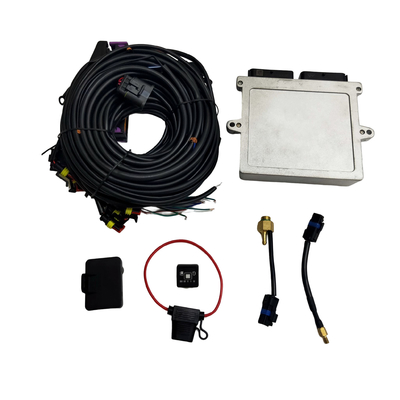 Autogas Sistema di iniezione sequenziale per auto Autogas 32 Pin Ecu Cng Gpl Kit di conversione gas
