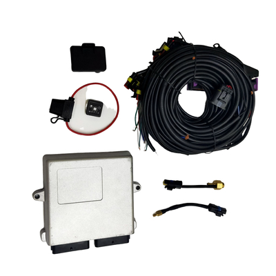 Autogas Sistema di iniezione sequenziale per auto Autogas 32 Pin Ecu Cng Gpl Kit di conversione gas