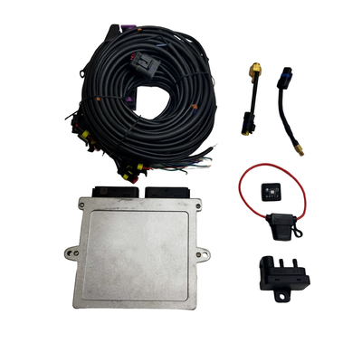 Autogas Sistema di iniezione sequenziale per auto Autogas 32 Pin Ecu Cng Gpl Kit di conversione gas