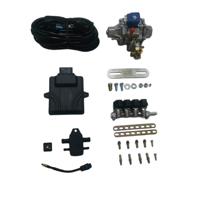 Mini kit di conversione CNG con binario iniettore a 4 cilindri ECU a 48 pin per auto CNG GNV