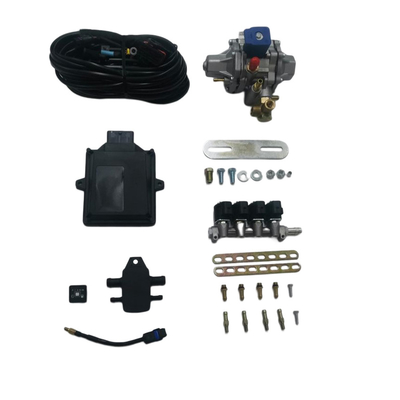 Mini kit di conversione CNG con binario iniettore a 4 cilindri ECU a 48 pin per auto CNG GNV