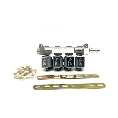 Sistema di iniezione di carburante di GPL CNG 2 ohm o 3 ohm Grey Injector Rail per Autogas