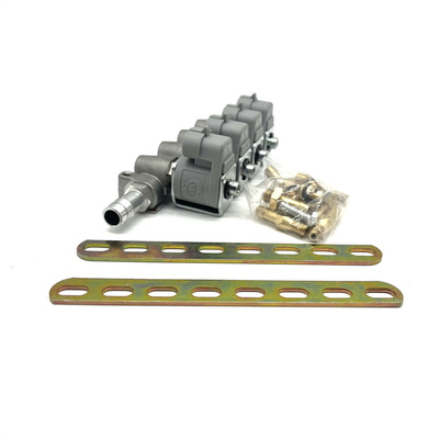 Sistema di iniezione di carburante di GPL CNG 2 ohm o 3 ohm Grey Injector Rail per Autogas