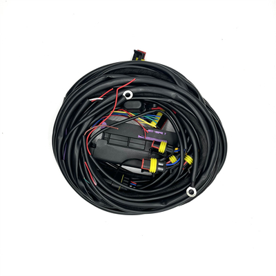 Tipo di connettore multiplo per prestazioni ottimali di 12 V