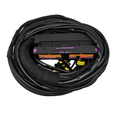 Tipo di connettore multiplo per prestazioni ottimali di 12 V