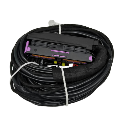 Arnesi di cablaggio ECU con più connettori e protezione per tubi in PVC