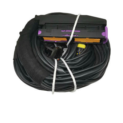 OEM Accettato ISO9001 Cablaggio idraulico per auto per 56 pin ECU