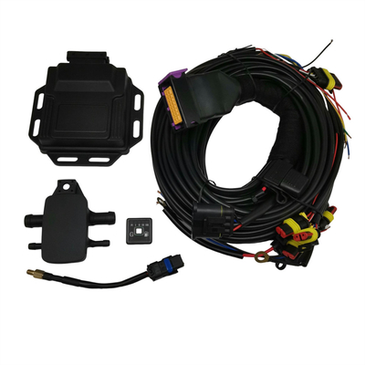 12V 4 cilindri ECU GNC/GPL per sistema di iniezione di carburante multipunto
