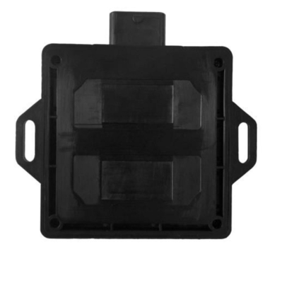 Unità di controllo elettronica su ordinazione di CNG GPL in automobile con 48 Pin Connector