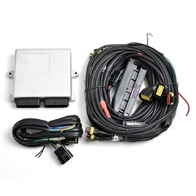 Automobile d'argento CNG GPL ECU di LN2568 Autogas per i motori di 6/8 di cilindro