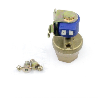 Bronzo integrato del filtrante dell'elettrovalvola a solenoide GPL CNG con il Manica diritto del gas