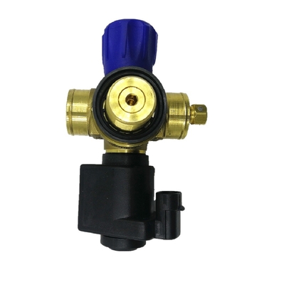 Valvola a gas dell'automobile della valvola del cilindro del solenoide CNG DC12V per il sistema di alimentazione automatico del gas