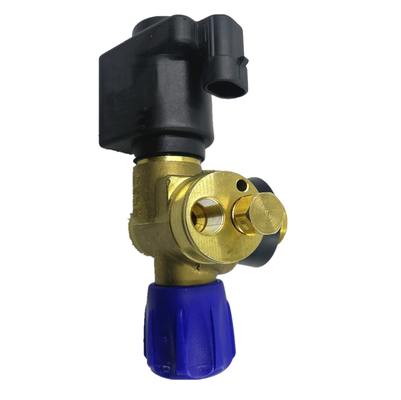 Valvola a gas dell'automobile della valvola del cilindro del solenoide CNG DC12V per il sistema di alimentazione automatico del gas