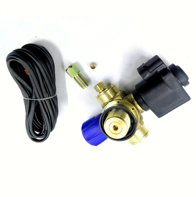 Valvola a gas dell'automobile della valvola del cilindro del solenoide CNG DC12V per il sistema di alimentazione automatico del gas