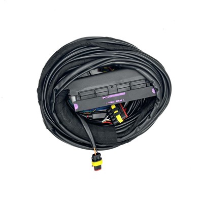 4 cablaggio automatico multipunto di Pin CNG GPL del cablaggio 56 di iniezione di carburante dell'ECU del cilindro