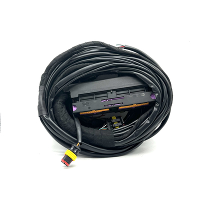 8 cablaggio di Pin Sequential Injection GPL CNG del cablaggio 56 dell'ECU del cilindro