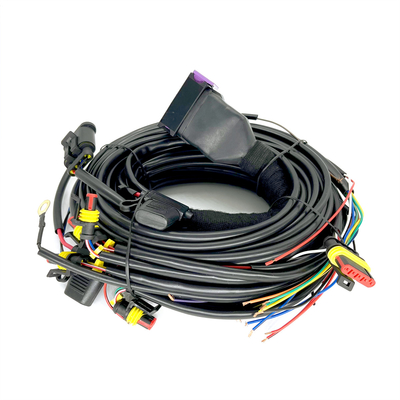 Cilindro sequenziale ECU di Pin Car Wiring Harness For 4 dell'iniezione 24 di CNG GPL
