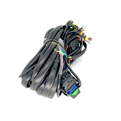 Cablaggio dell'automobile da 32 di Pin 4 ECU del cilindro per il sistema ad iniezione sequenziale di Autogas