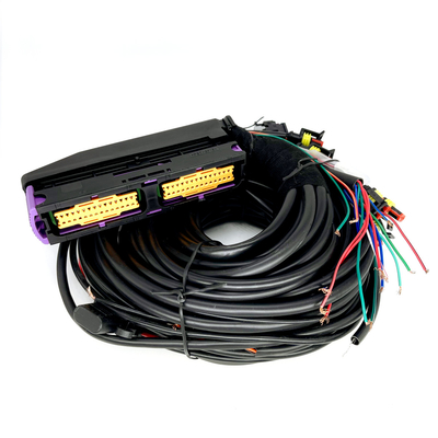 Cilindro automobilistico multipunto ECU di Pin For 6 del cablaggio 56 di CNG GPL