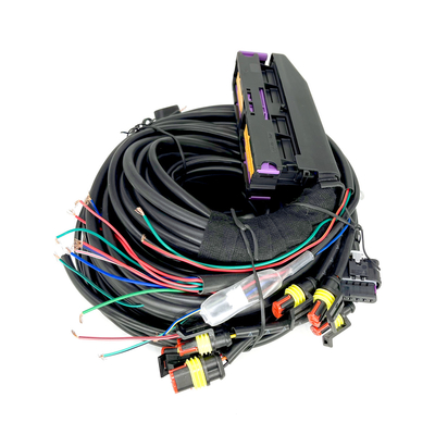 Cilindro automobilistico multipunto ECU di Pin For 6 del cablaggio 56 di CNG GPL