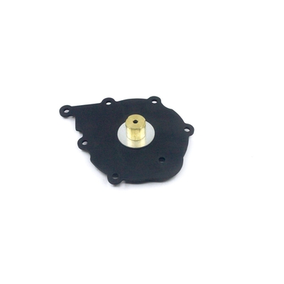 Filtri e copra il regolatore del gas dell'automobile di Kit For GPL di manutenzione