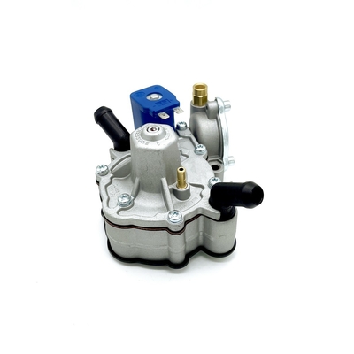 Regolatore di pressione separato di Autogas GPL del circuito dell'acqua e del gas 125W