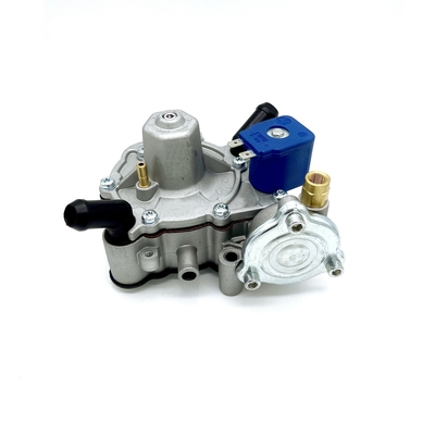 Regolatore di pressione separato di Autogas GPL del circuito dell'acqua e del gas 125W