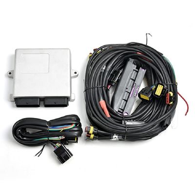 Good price Automobile d'argento CNG GPL ECU di LN2568 Autogas per i motori di 6/8 di cilindro in linea